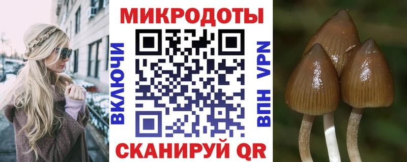 Купить закладки  Дрезна  Галлюциногенные грибы Cubensis 