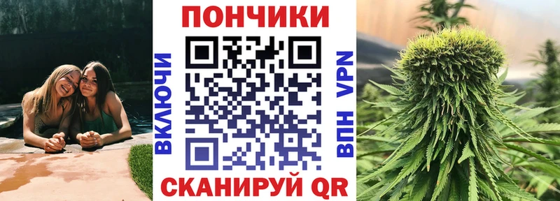 Шишки марихуана план  Купить  Дрезна 